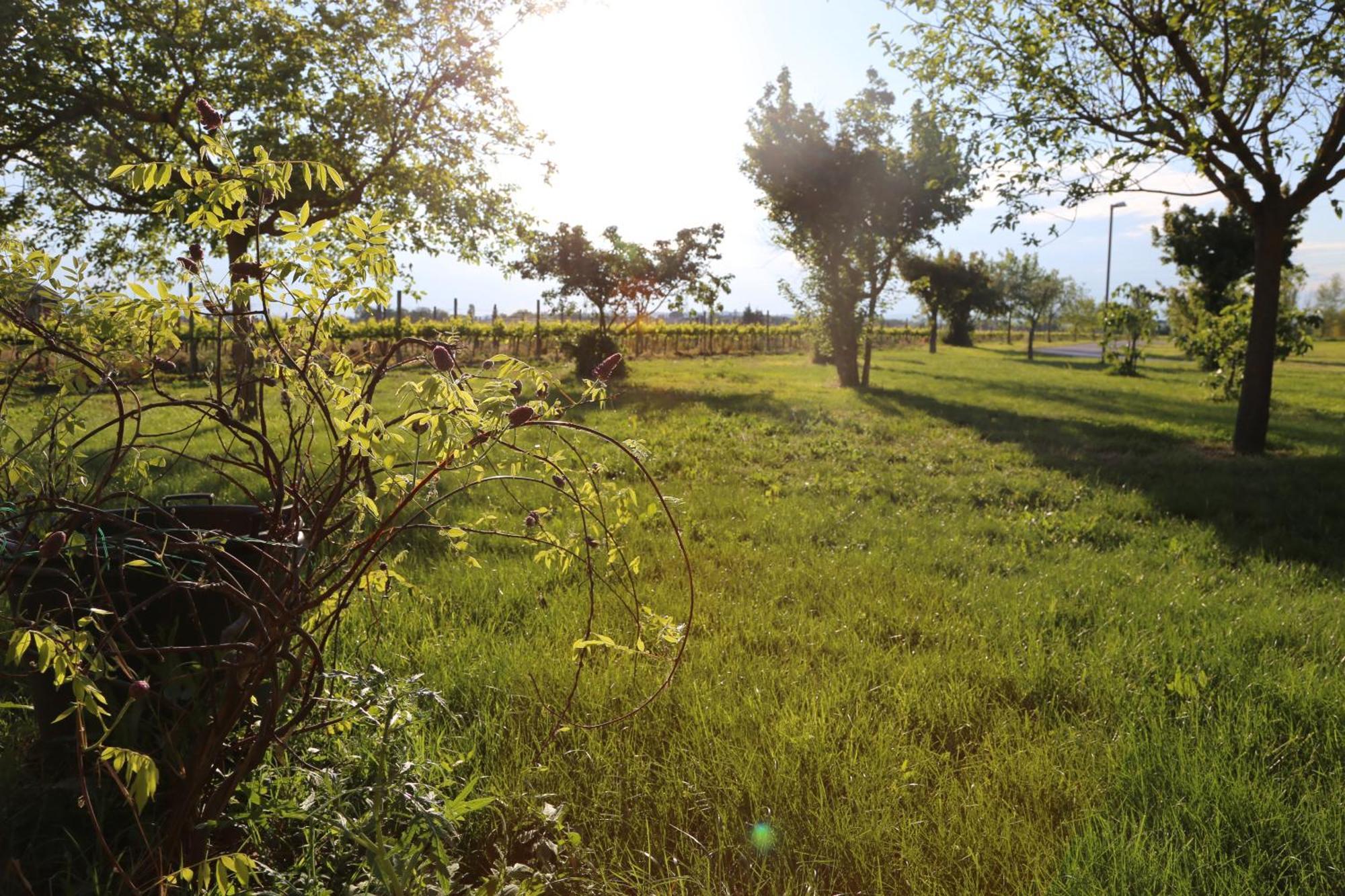 Valle Di Assisi Country Apartments エクステリア 写真