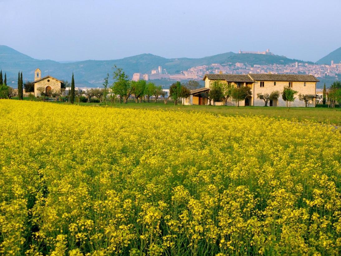 Valle Di Assisi Country Apartments エクステリア 写真
