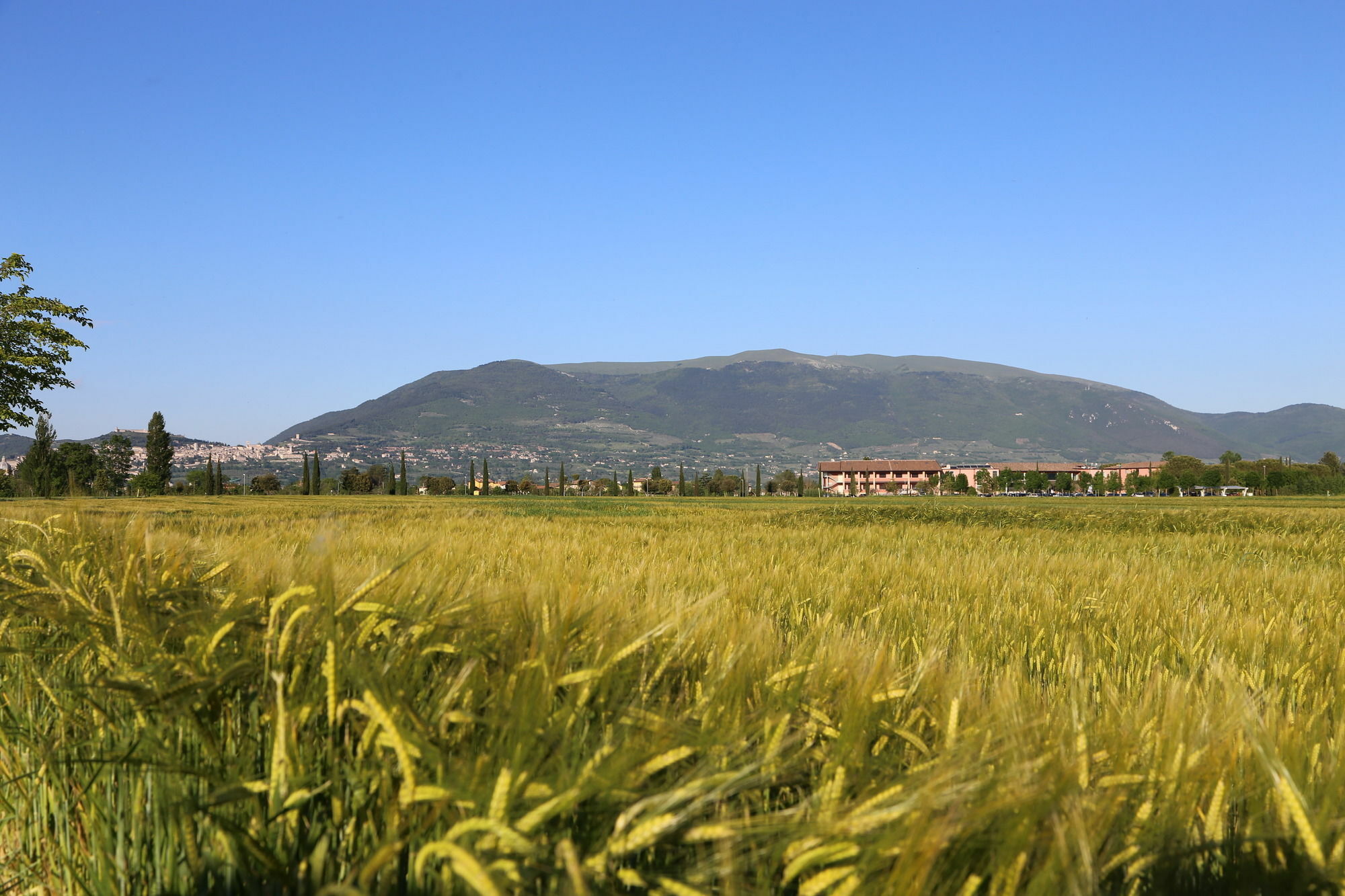 Valle Di Assisi Country Apartments エクステリア 写真